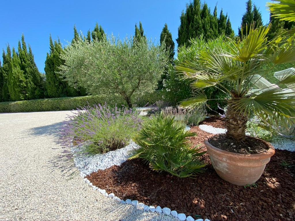 Mas De L'estello Saint-Remy-de-Provence